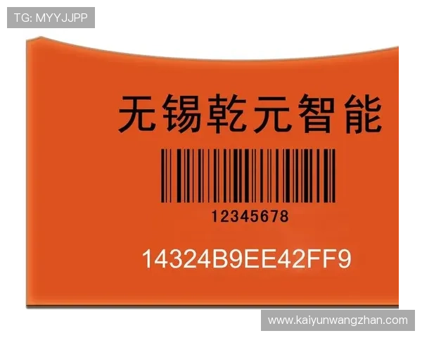 开云体育游戏网址安全保障措施，确保玩家账号信息和资金安全的全面介绍